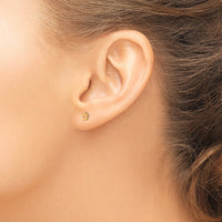 Inverness 14k Epoxy Fill Pink Mini Flower Earrings