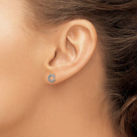 14k White Gold Diamond Initial C Earrings