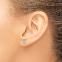 14k White Gold Diamond Initial T Earrings