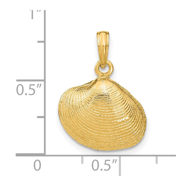 14k Medium Clam Shell Pendant