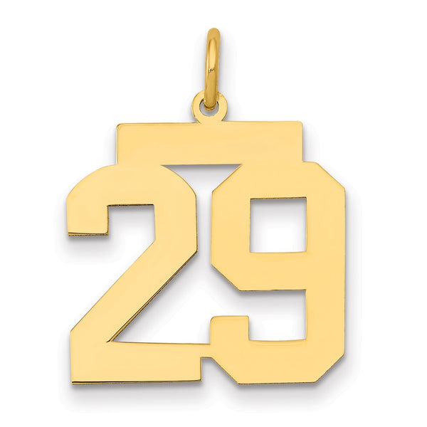 14k Medium Polished Number 29 Charm