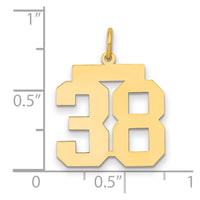 14k Medium Polished Number 38 Charm