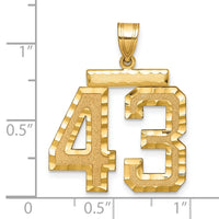 14k Large Brushed Diamond-cut Number 43 Charm