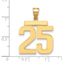 14k Large Polished Number 25 Charm