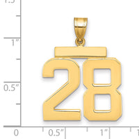 14k Large Polished Number 28 Charm