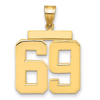 14k Large Polished Number 69 Charm