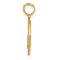 14k Miraculous Medal Pendant