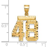 14k Medium Diamond-cut Number 48 Charm