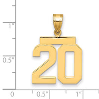 14k Medium Polished Number 20 Charm