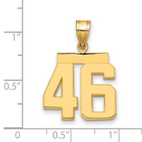 14k Medium Polished Number 46 Charm