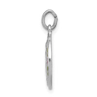 Sterling Silver Platinum-plated Polished Epoxy Miraculous Medal Pendant