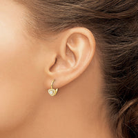 Sterling Silver Gold-tone CZ Heart Leverback Earrings
