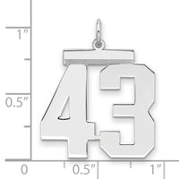 Sterling Silver/Rhodium-plated Polished Number 43 Charm