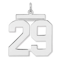 Sterling Silver/Rhodium-plated Polished Number 29 Charm