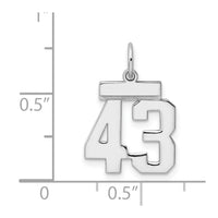 Sterling Silver/Rhodium-plated Polished Number 43 Charm
