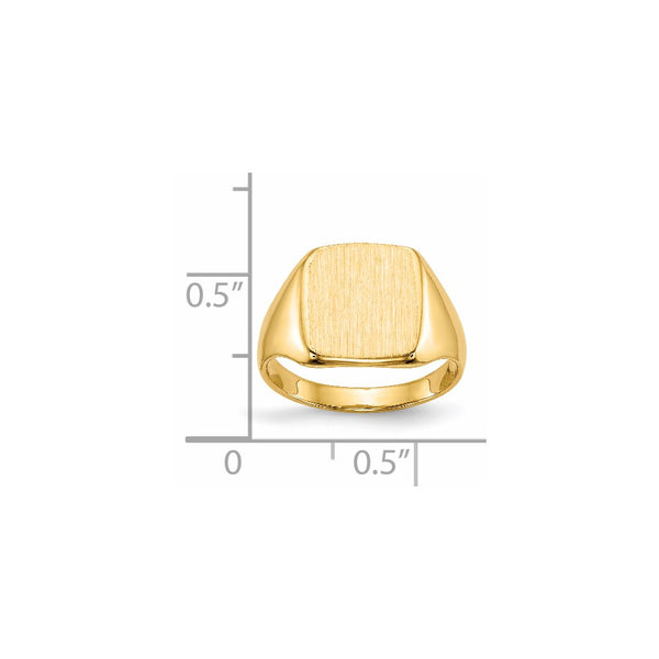 14k 10.0x10.0mm Closed Back Signet Ring