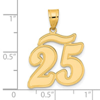 14k Brushed Border Script Number 25 Pendant