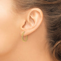 14k Gold Polished Intertwined Filigree Hoop Earrings