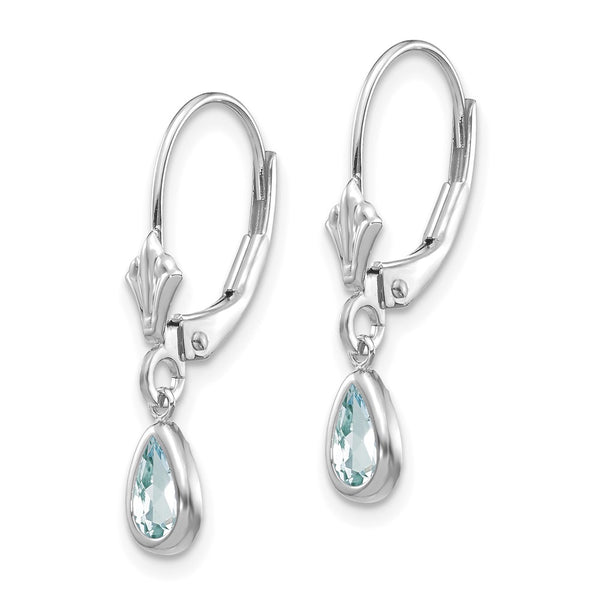 14k White Gold 6x4mm Aquamarine/March Earrings