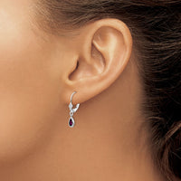 14k White Gold 6x4mm Rhodolite Garnet/June Earrings