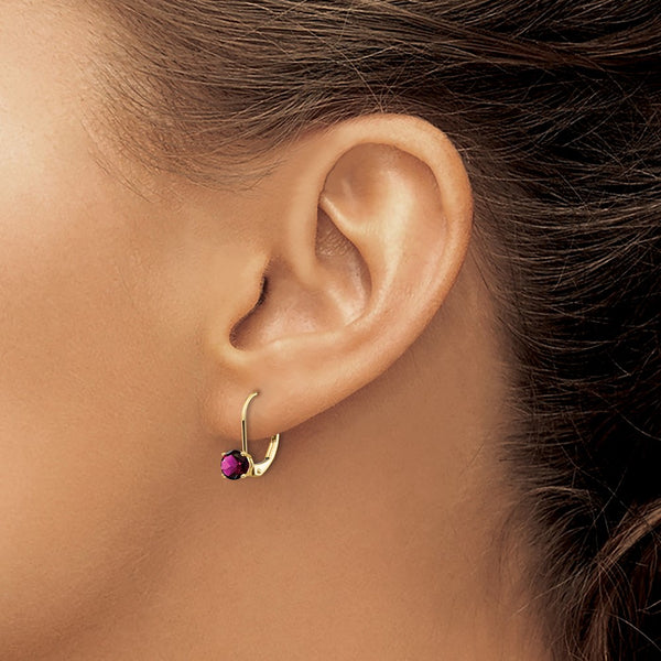 14k 5mm Amethyst Leverback Earrings