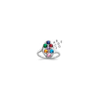14k White Gold Synthetic Family jewelry ring
