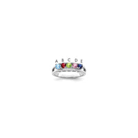 14k White Gold Family Jewelry Ring Mounting