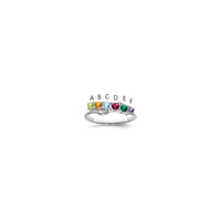 14k White Gold Family Jewelry Ring