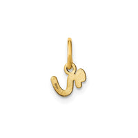 14KY Lower case Letter R Initial Charm