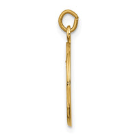 14k Our Lady of Mount Carmel Medal Charm