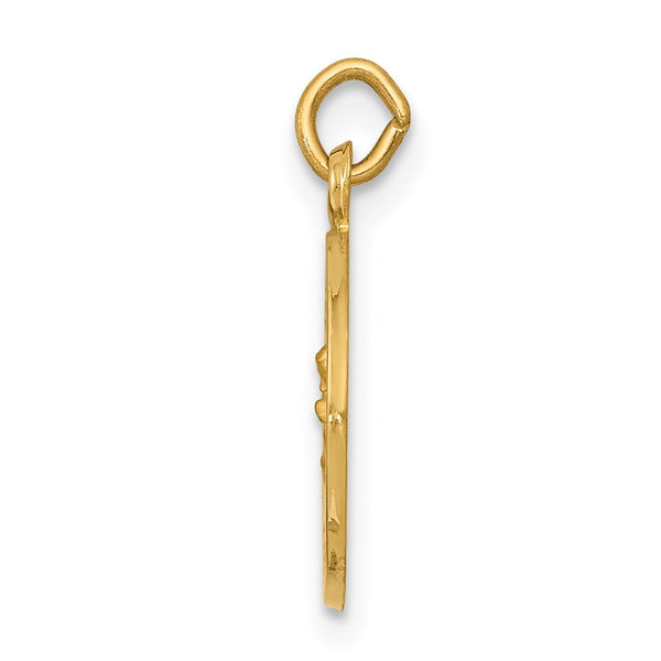 14k Our Lady of Perpetual Help Medal Charm
